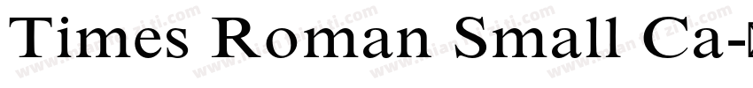 Times Roman Small Ca字体转换